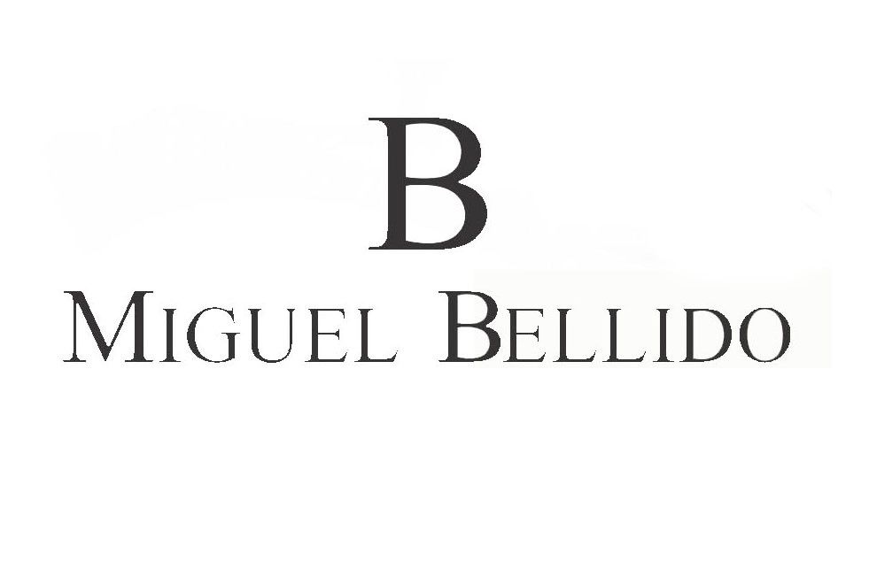 Miguel Bellido
