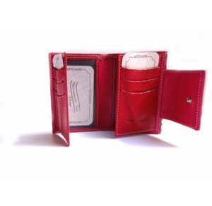 Billetero mujer pequeño NILO print serpiente burdeos