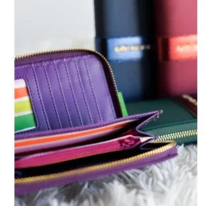 Cartera Agatha Ruiz de la Prada nylon metalizada de cremallera